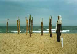 fliehende Bäume Sylt